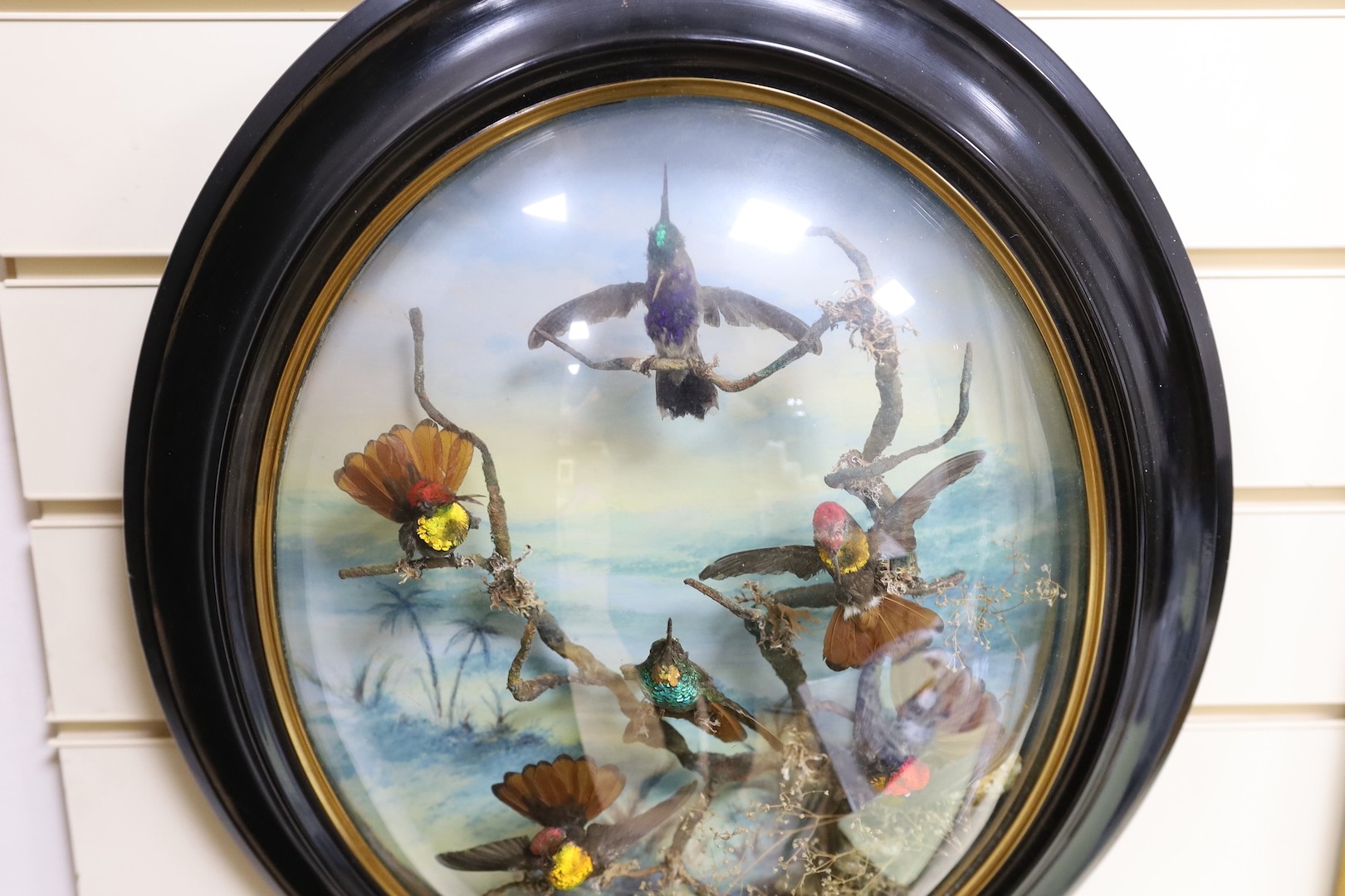 A Victorian taxidermic bouquet of humming birds in convex oval frame - approx 60cm high